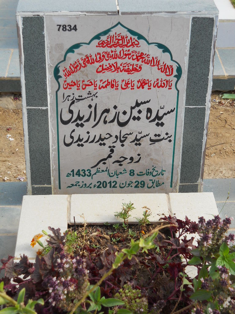 7834 – Syeda Sabeen Zehra Zaidi