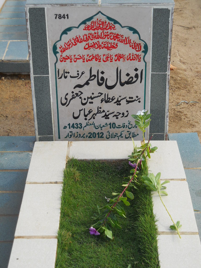 7841 – Afzaal Fatima