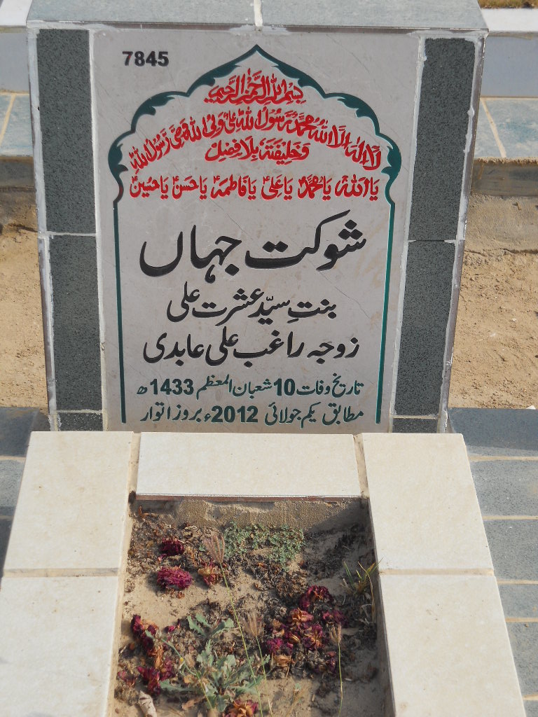 7845 – Shuokat Jahan