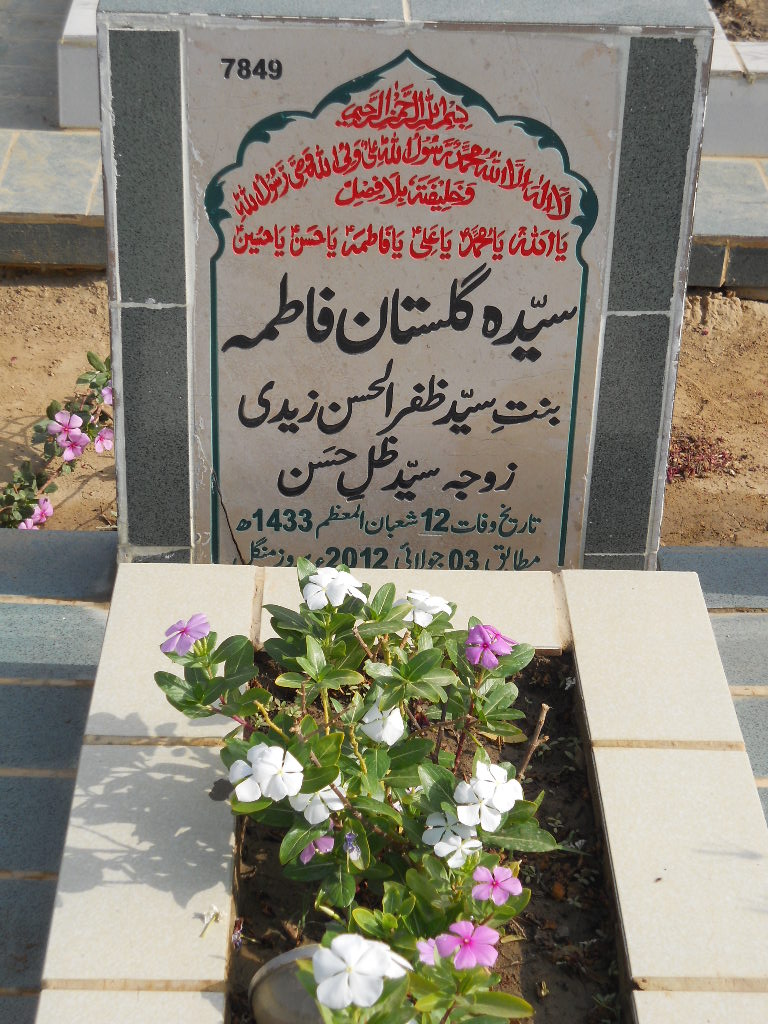 7849 – Syeda Gulistan Fatima