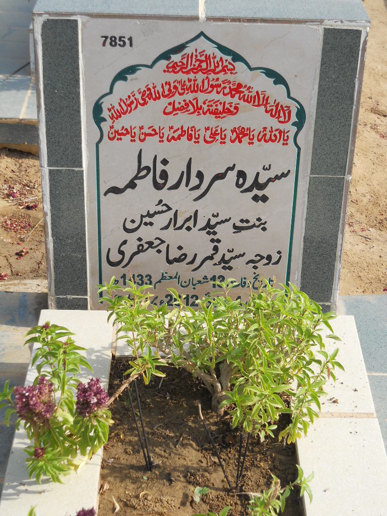 7851 – Syeda Sardar Fatima