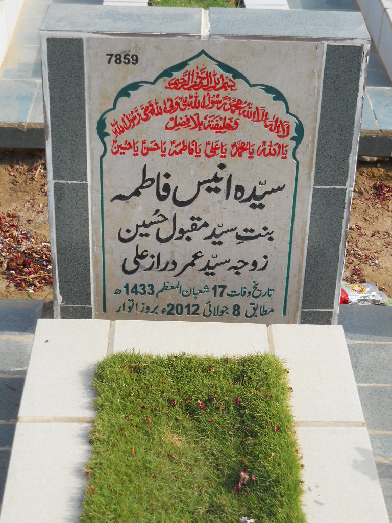 7859 – Syeda Anees Fatima