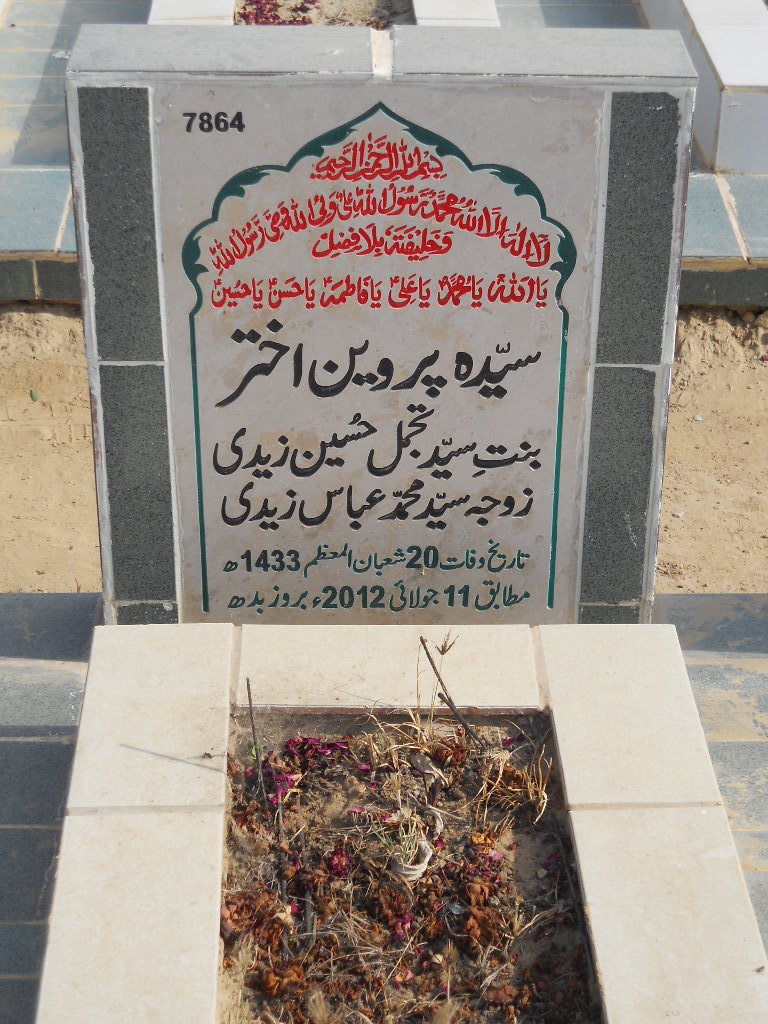 7864 – Syeda Parveen Akhtar
