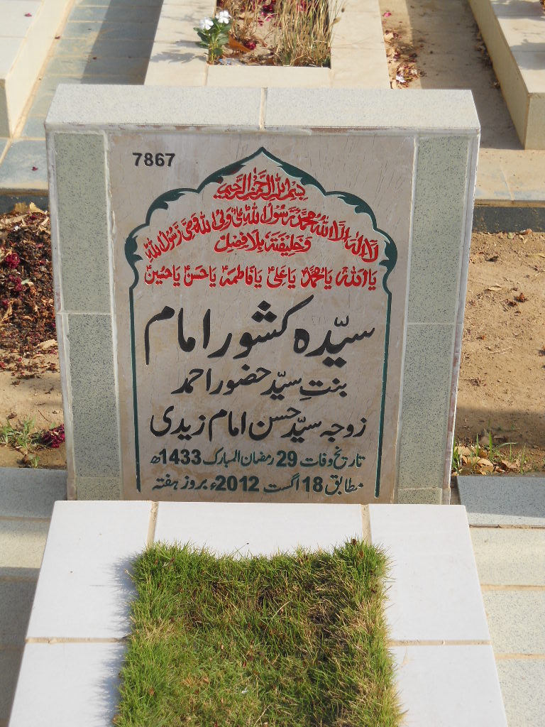 7867 – Syeda Kishwar Imam