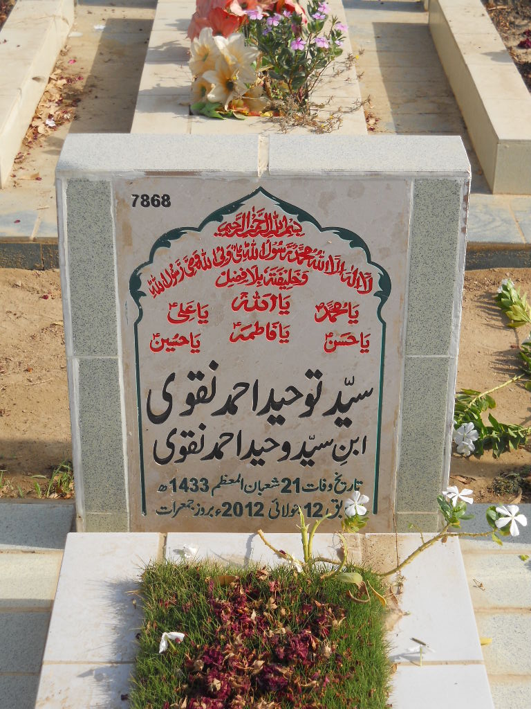7868 – Syed Touheed Ahmed Naqvi