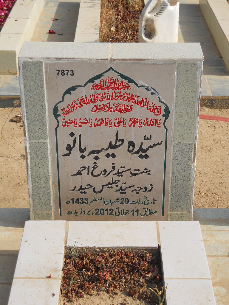 7873 – Syeda Tayyaba Bano