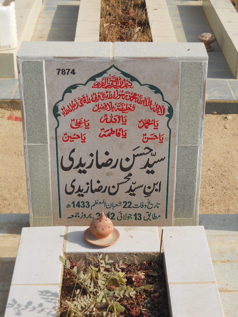7874 – Syeda Hasan Raza Zaidi