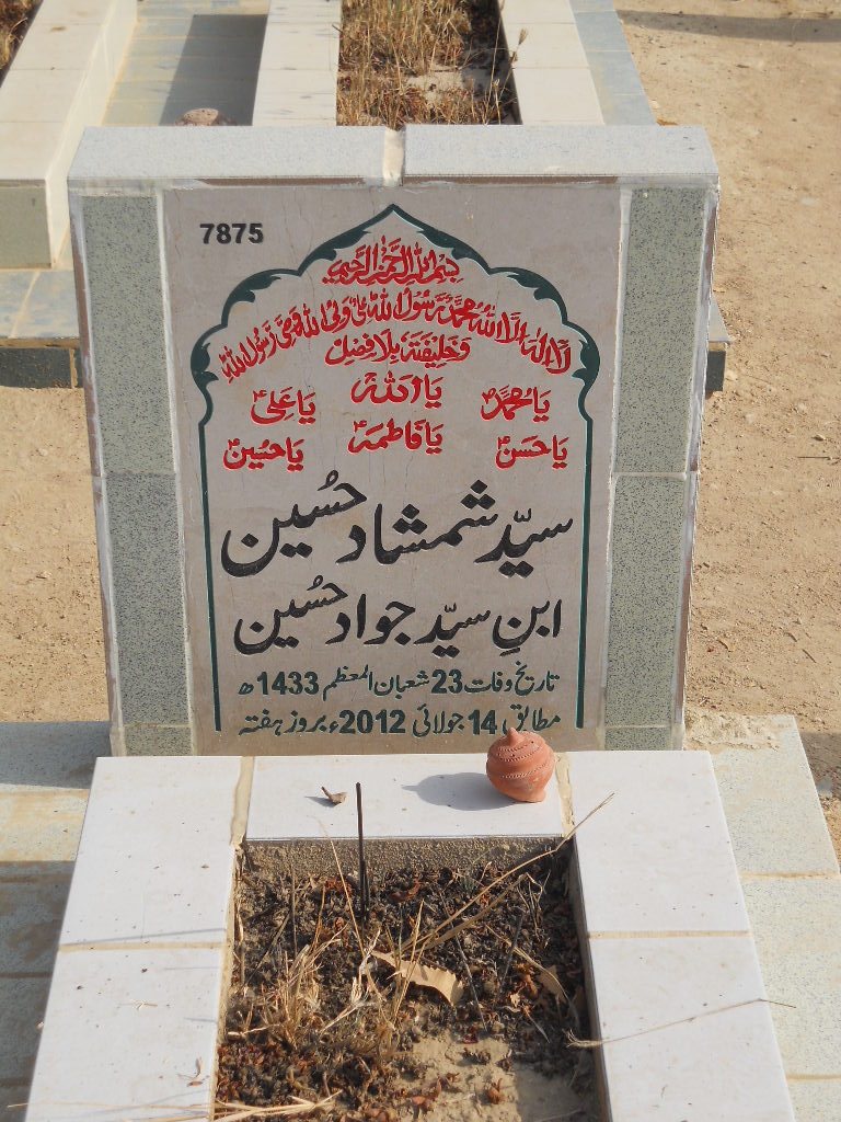 7875 – Syed Shamshad Hussain