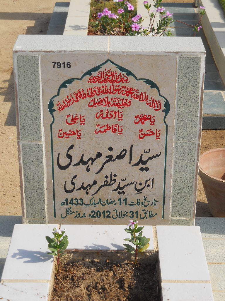 7916 – Syed Asghar Mehdi