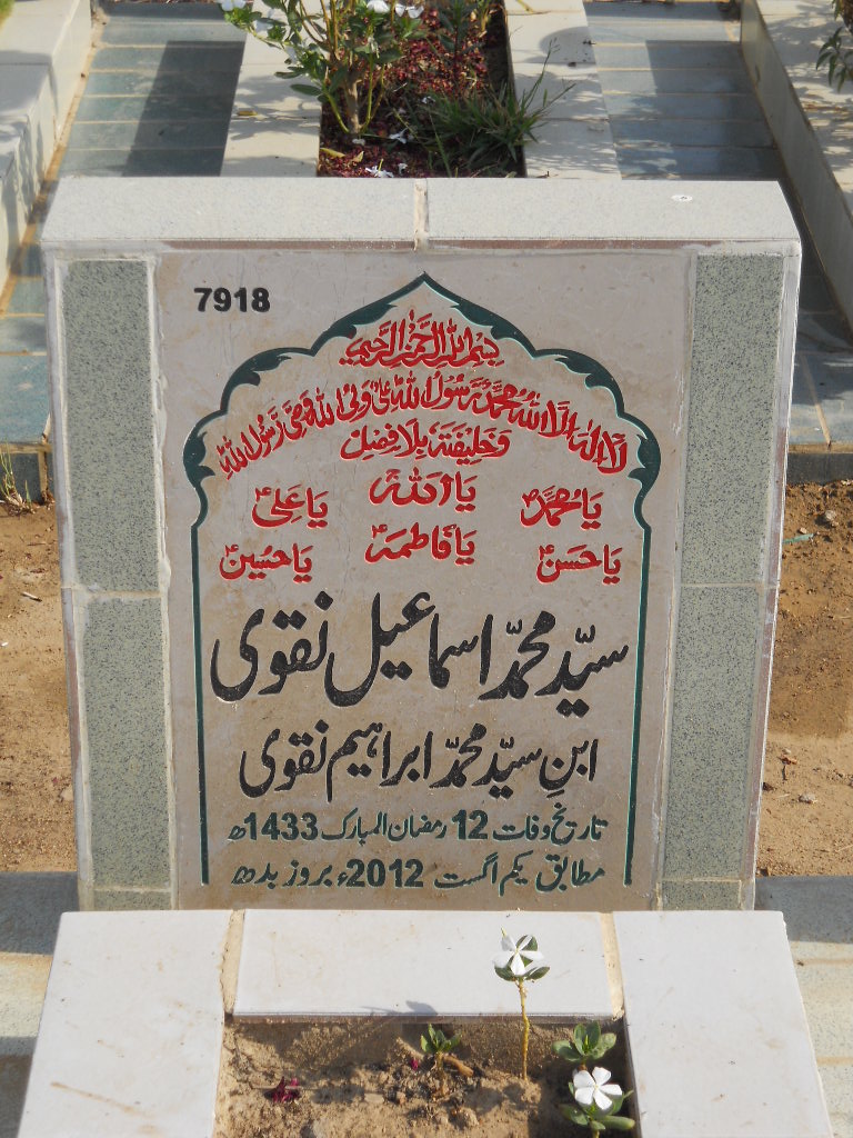 7918 – Syed Muhammad Ismail Naqvi