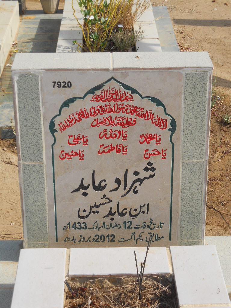 7920 – Shahzad Abid