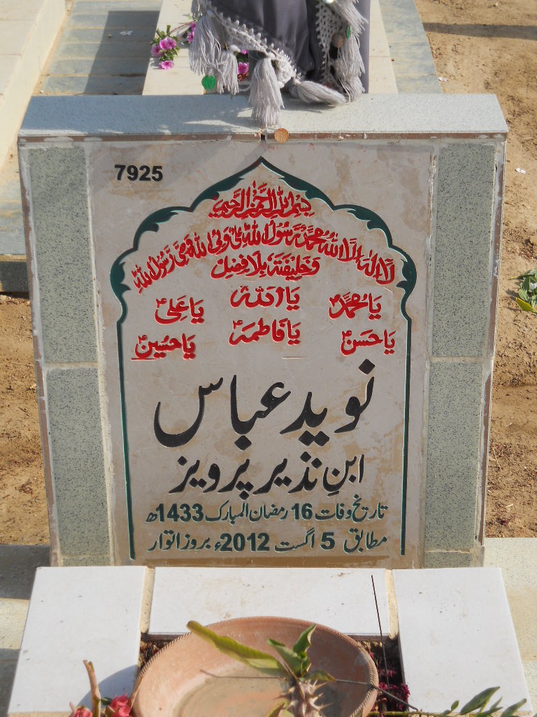 7925 – Naveed Abbas