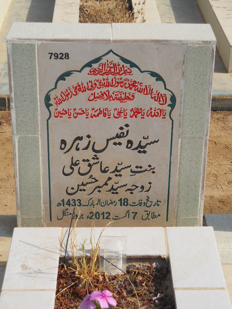 7928 – Syeda Nafees Zehra