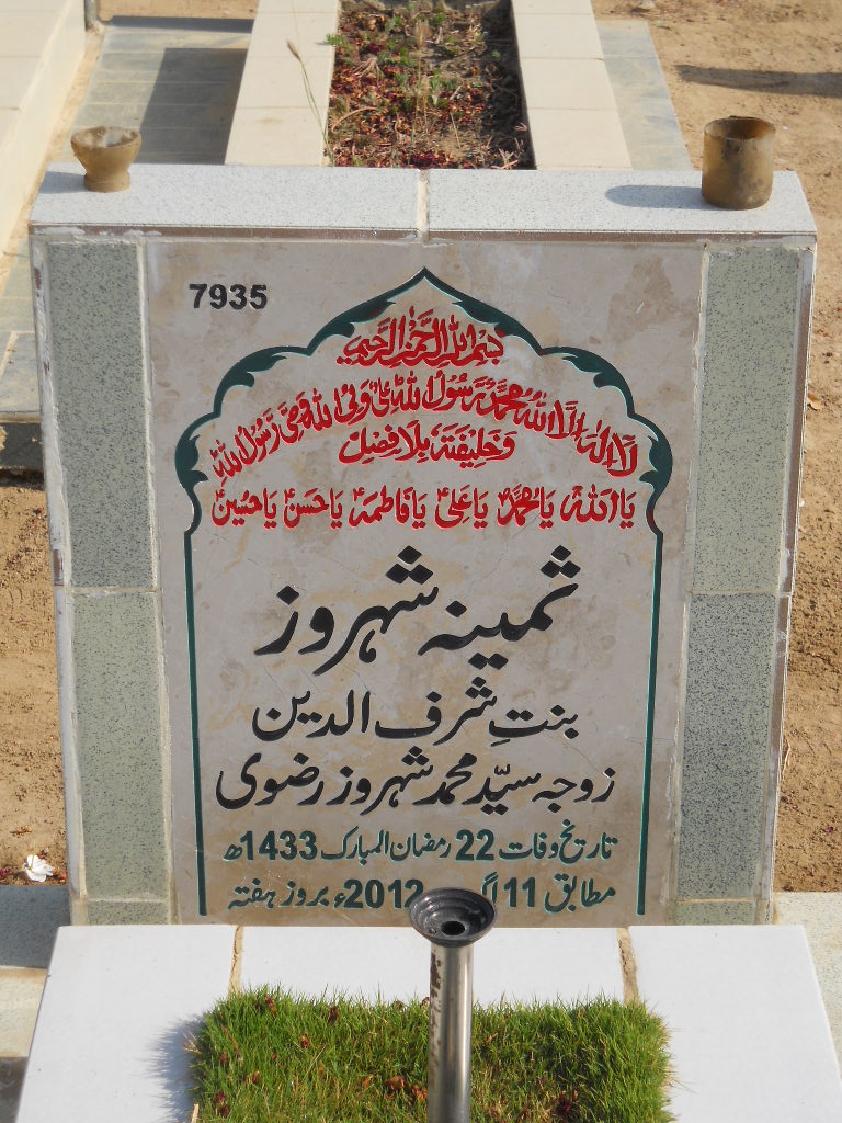 7935 – Samina Sehroz