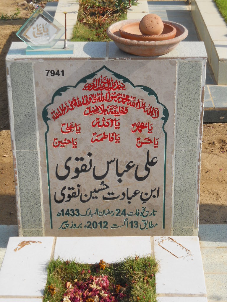 7941 – Ali Abbas Naqvi