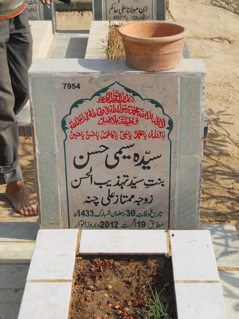 7954 – Syeda Seemi Hasan