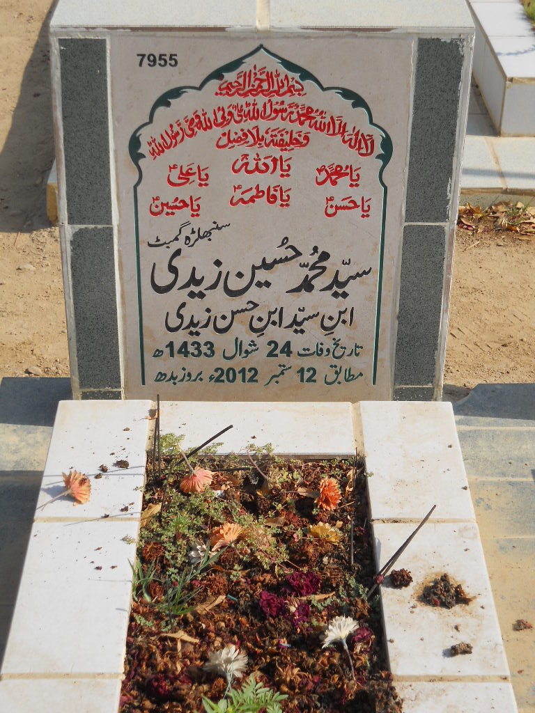 7955 – Syed Muhammad Hussain Zaidi