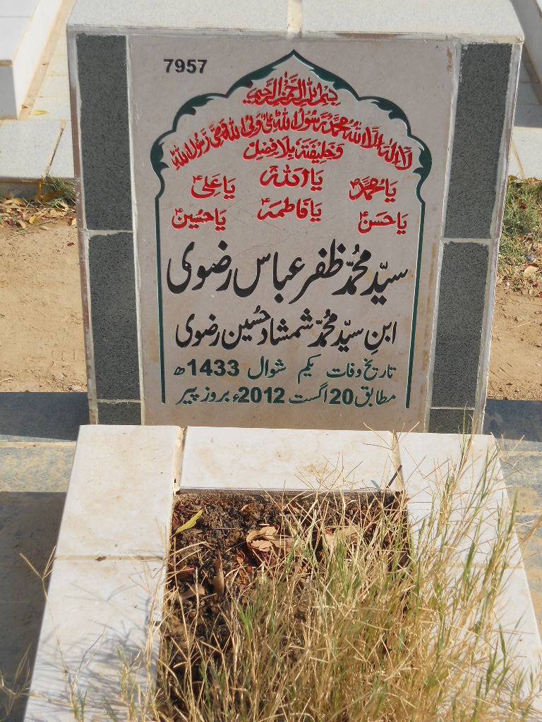 7957 – Syed Muhammad Zafar Abbas Rizvi