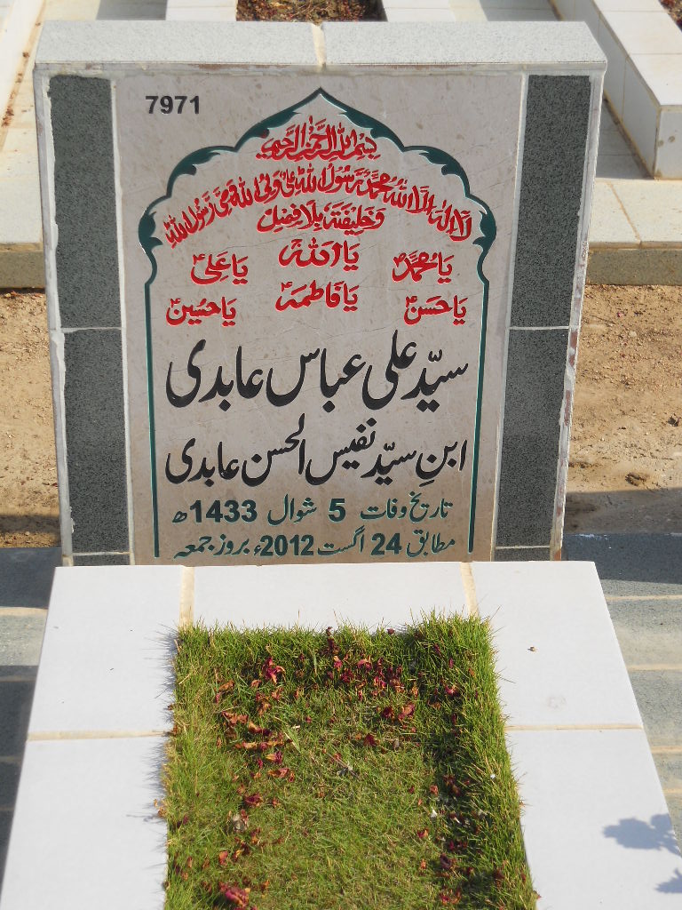7971 – Syed Ali Abbas Abidi