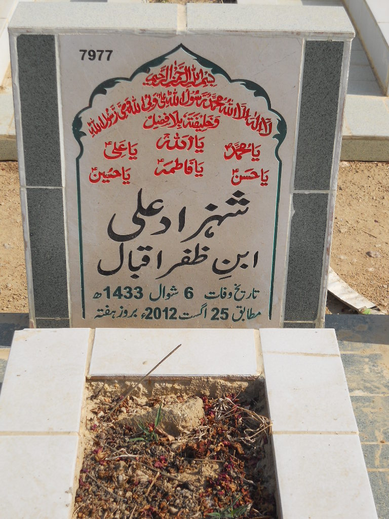 7977 – Shahzad Ali