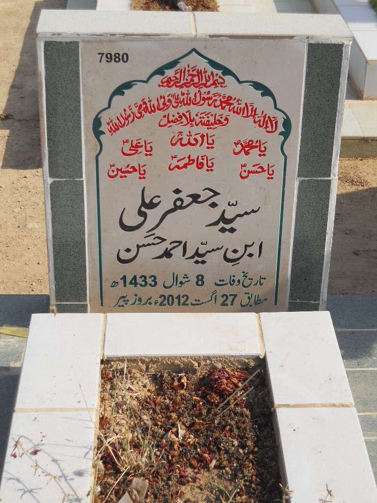 7980 – Syed Jaffar Ali