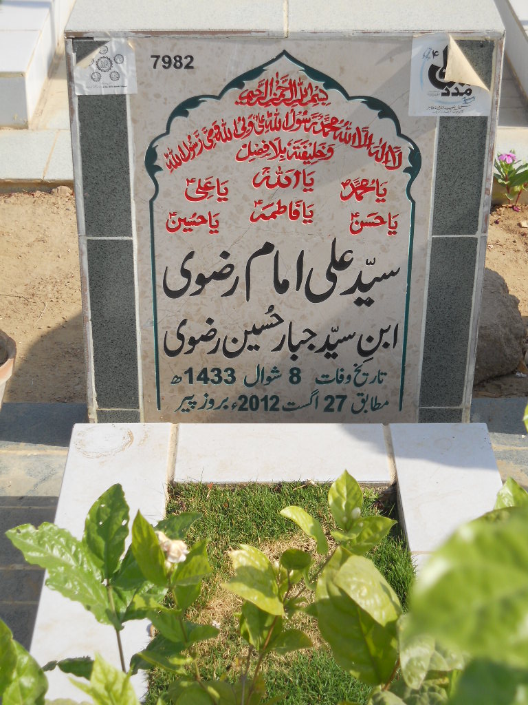 7982 – Syed Ali Imam Rizvi
