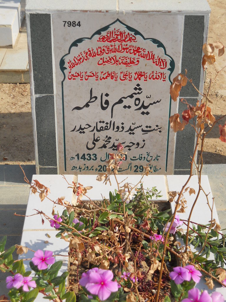 7984 – Syeda Shamim Fatima