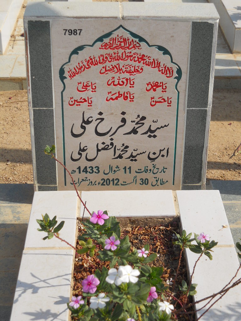 7987 – Syed Muhammad Farrukh Ali