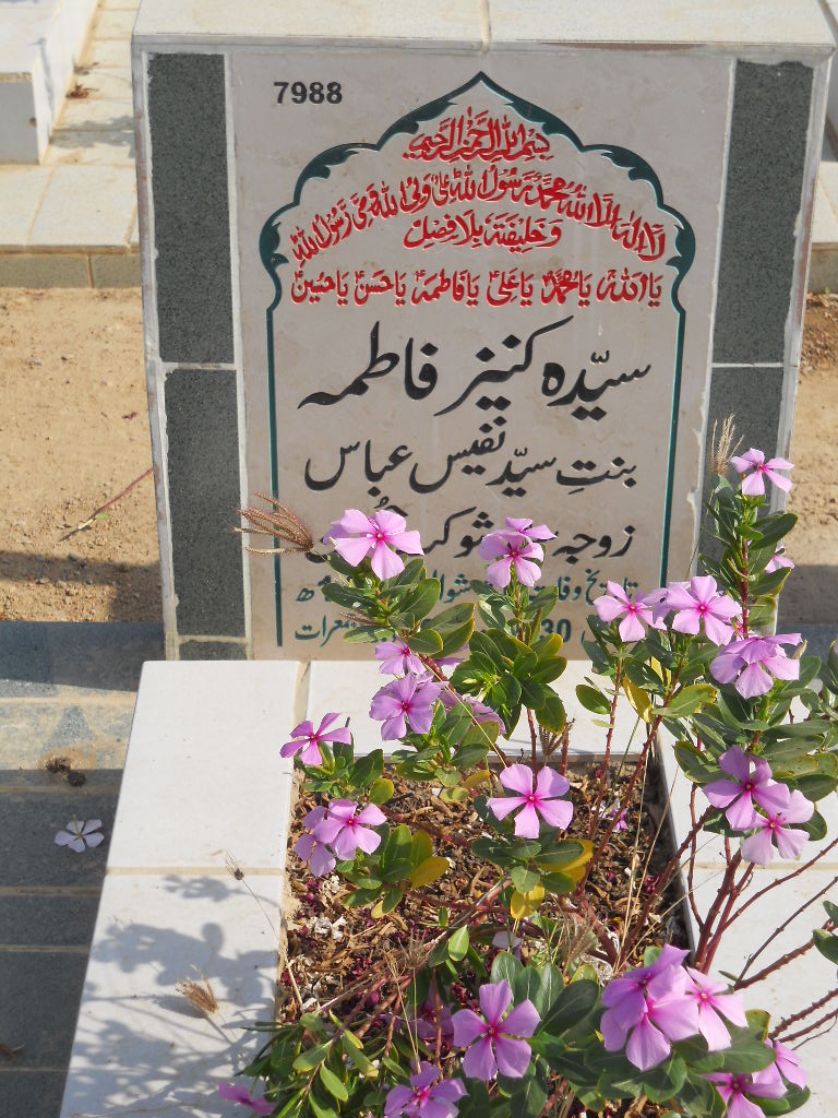 7988 – Syeda Kaneez Fatima