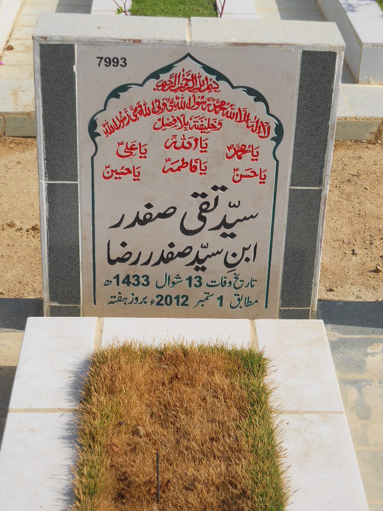 7993 – Syed Taqi Safdar