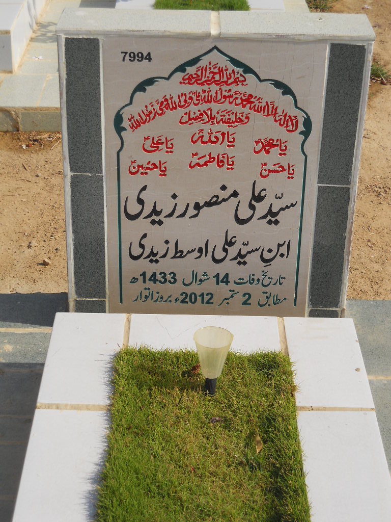 7994 – Syed Ali Mansoor Zaidi