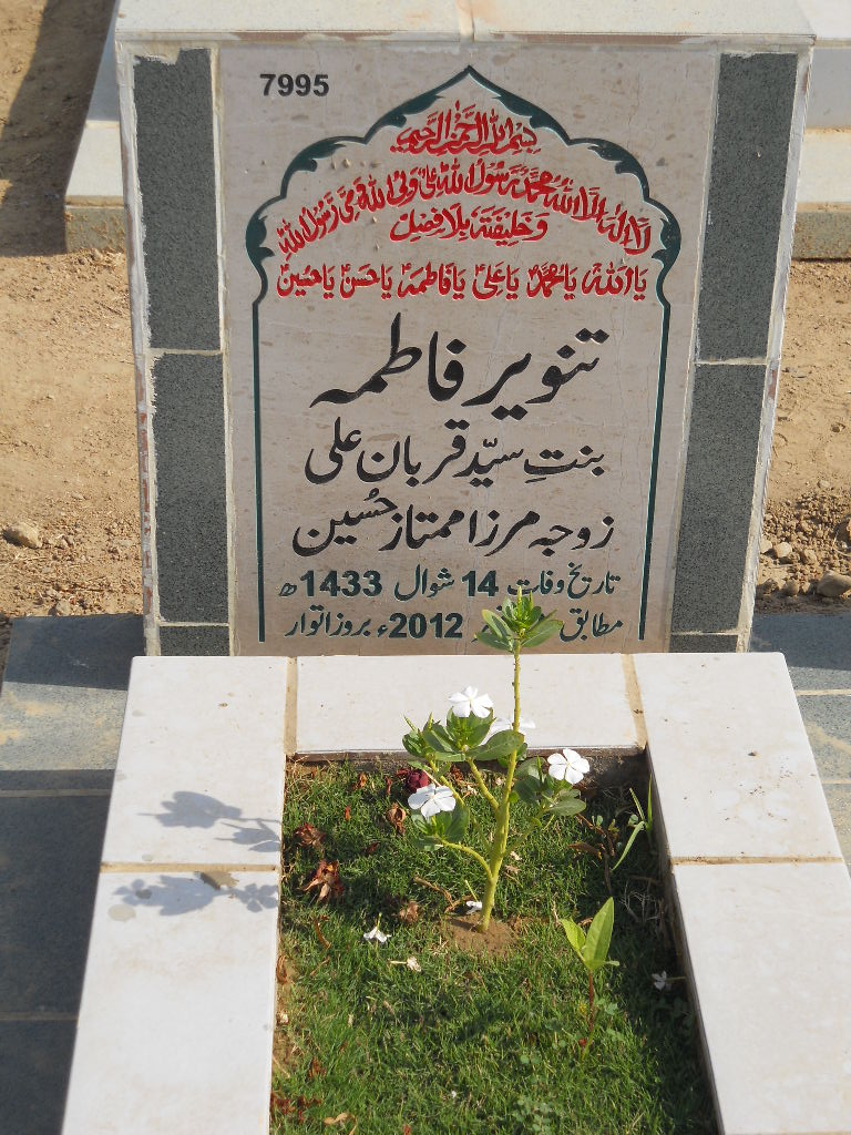 7995 – Tanveer Fatima