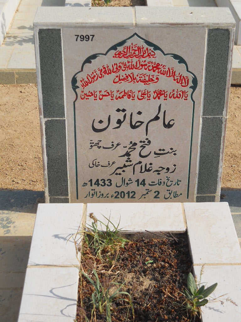 7997 – Alam Khatoon