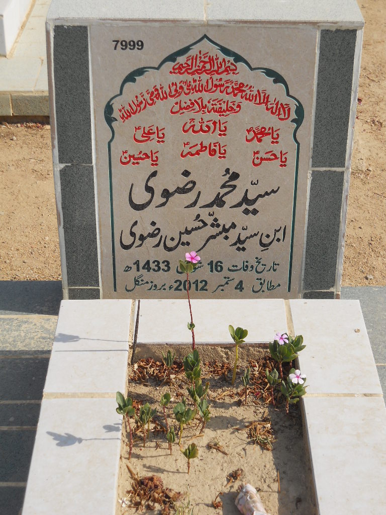 7999 – Syed Muhammad Rizvi