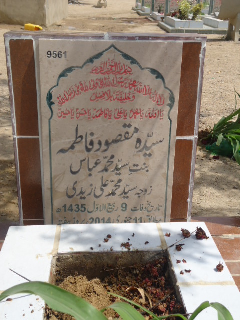 9561 – Syeda Maqsood Fatima