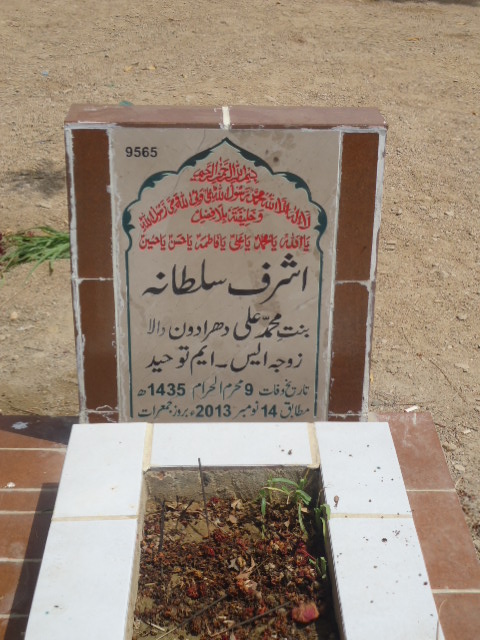 9565 – Ashraf Sultana