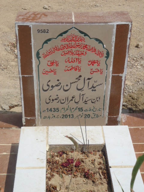 9582 – Syed Alay Mohsin Rizvi