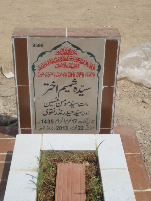 9590 – Syeda Shamim Akhtar