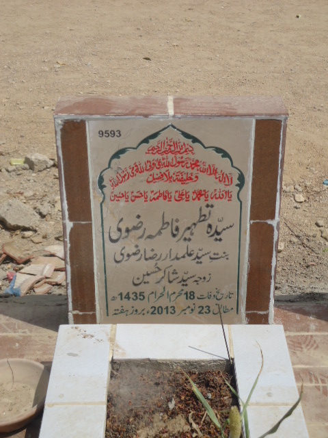 9593 – Syeda Tatheer Fatima Rizvi