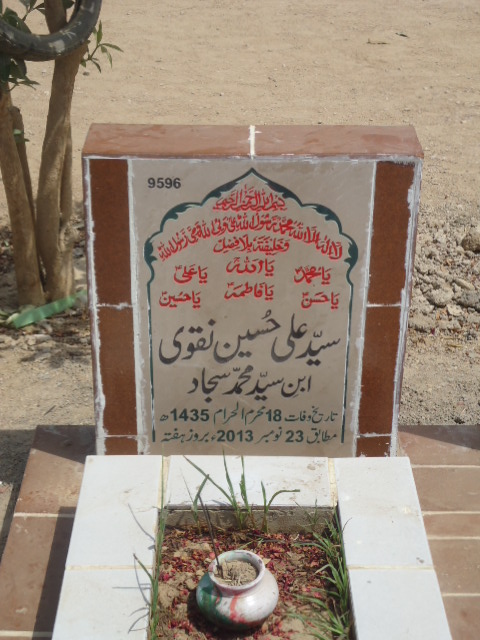 9596 – Syed Ali Hussain Naqvi