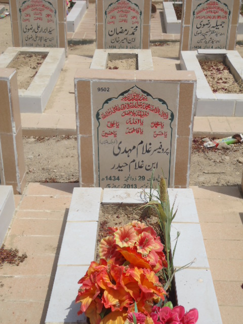 9502 – Prof Ghulam Mehdi