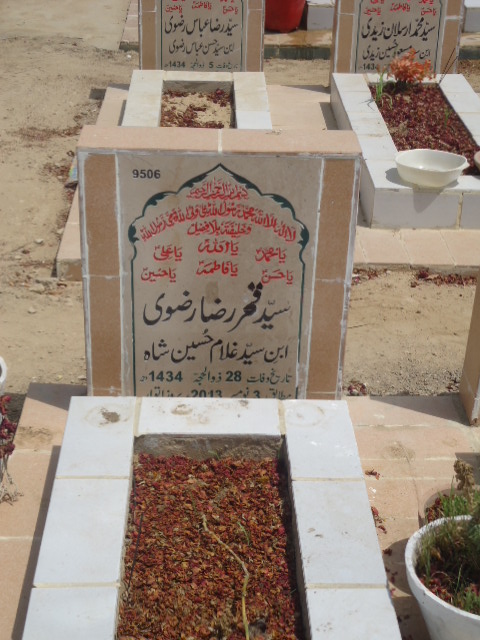9506 – Syed Qamar Raza Rizvi