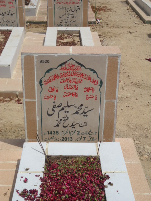 9520 – Syed Muhammad Saleem Saffi
