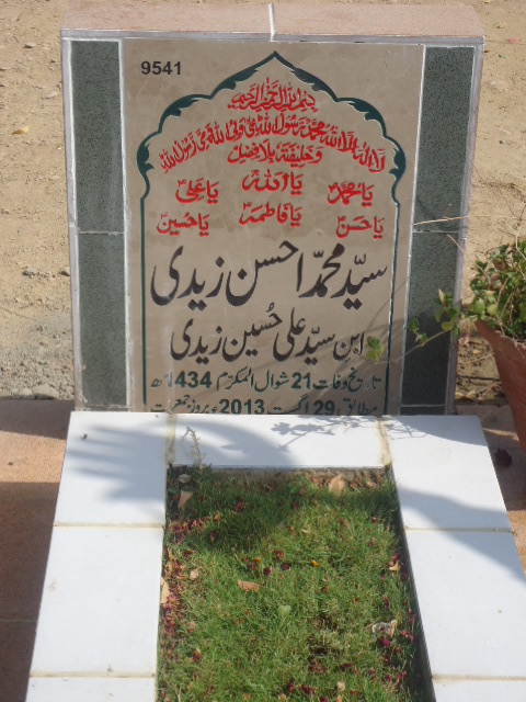 9541 – Syed Muhammad Ahsan Zaidi