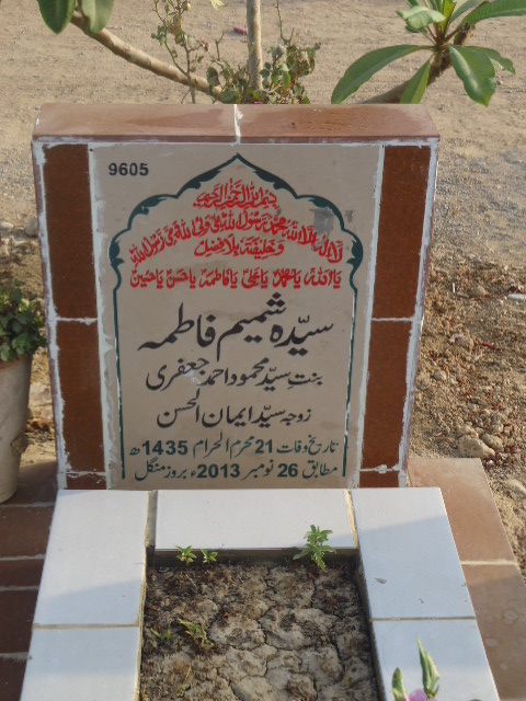 9605 – Syeda Shamim Fatima