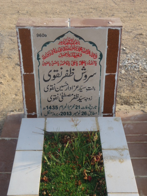 9606 – Sirosh Zafar Naqvi