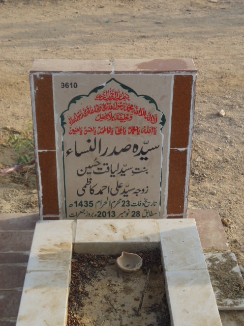9610 – Syeda Saddar Un Nisa