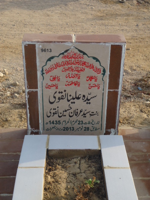 9613 – Syeda Alina Naqvi