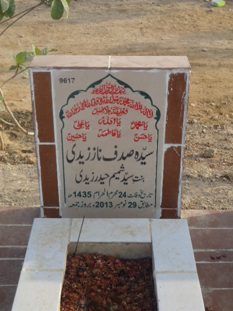 9617 – Syeda Sadaf Naz Zaidi