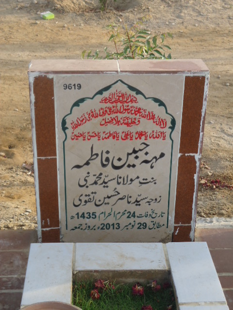 9619 – Mehjabeen Fatima